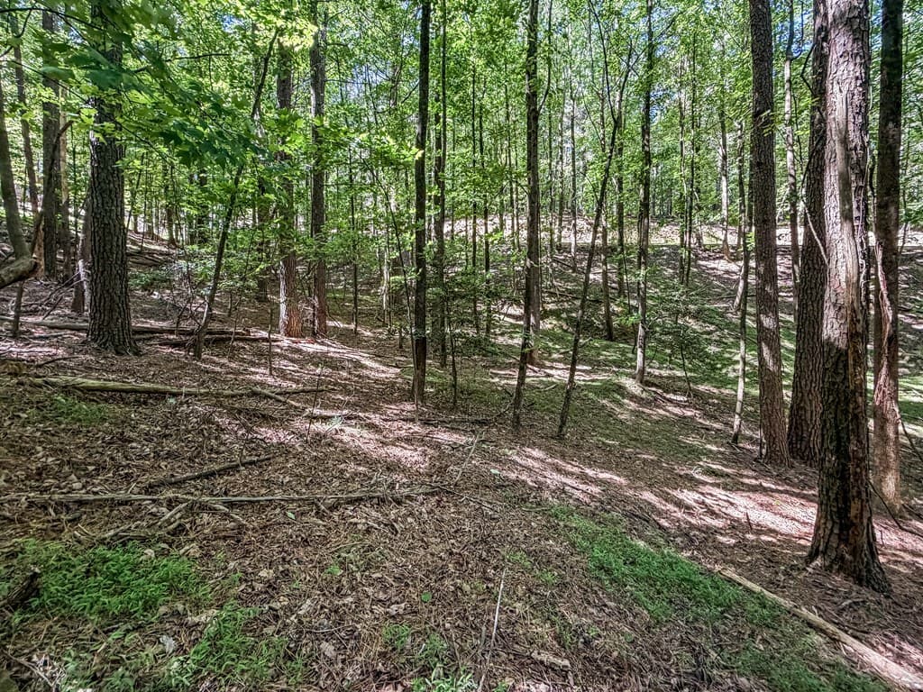 Lot 26 Estates Drive, Ellijay GA 30540 - Photo