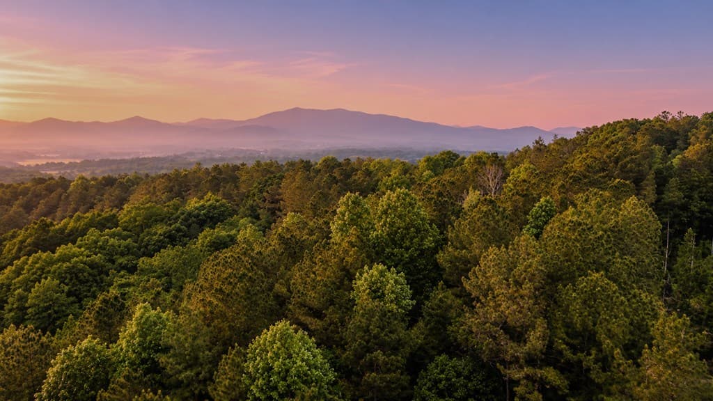 Lot 26 Estates Drive, Ellijay GA 30540 - Photo