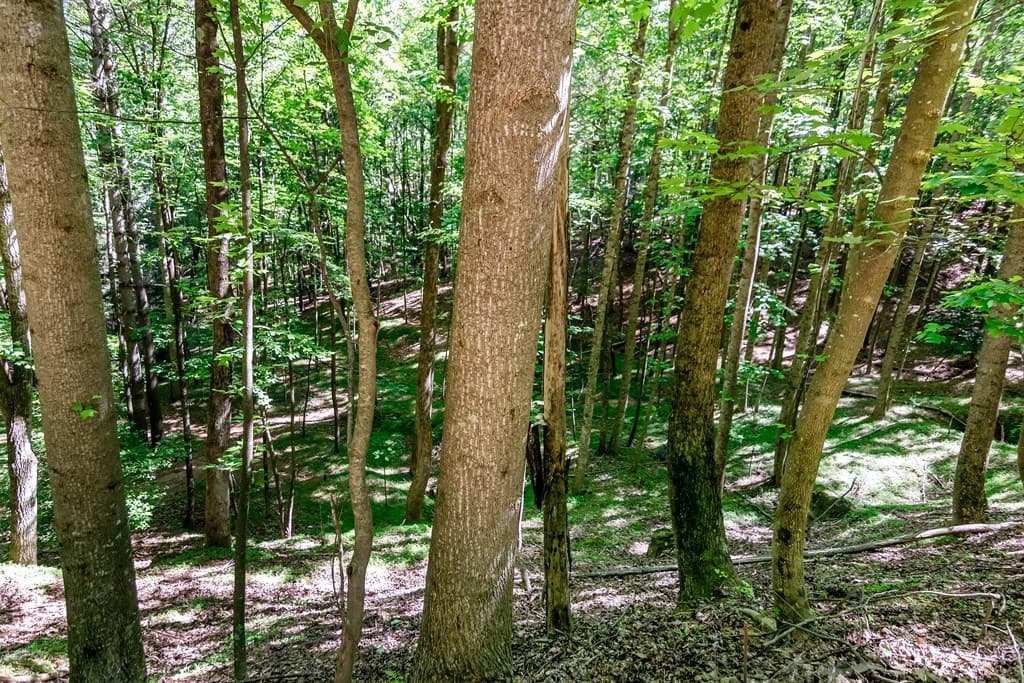 Lot 26 Estates Drive, Ellijay GA 30540 - Photo