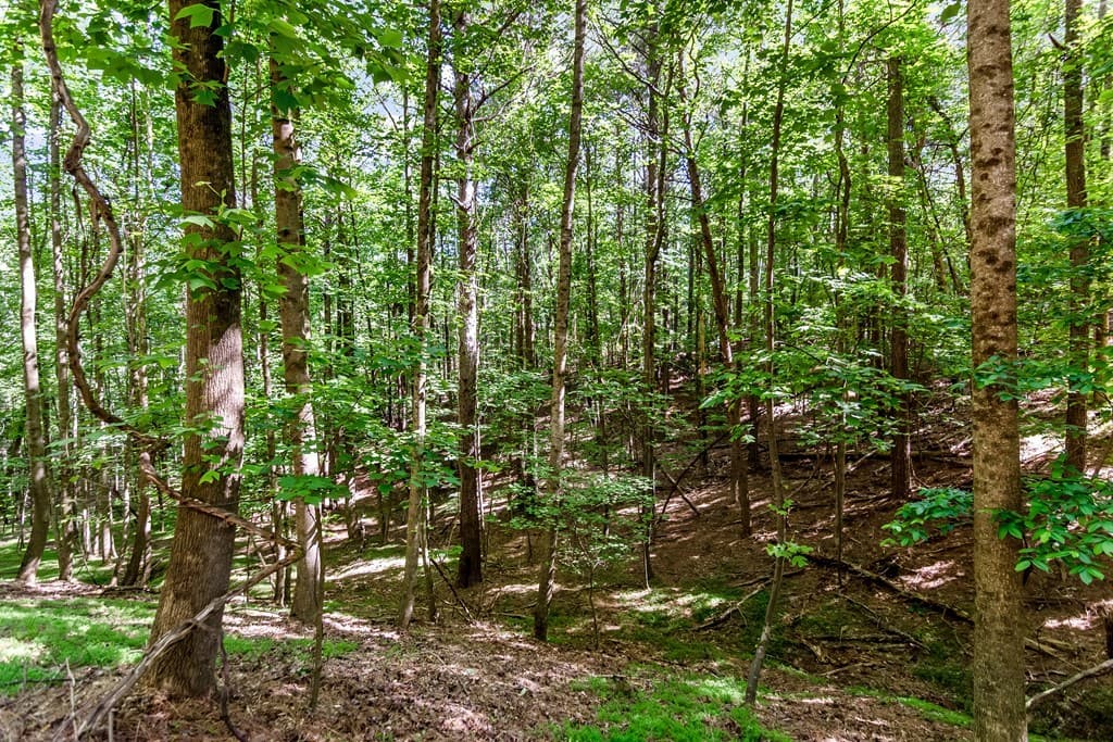 Lot 26 Estates Drive, Ellijay GA 30540 - Photo