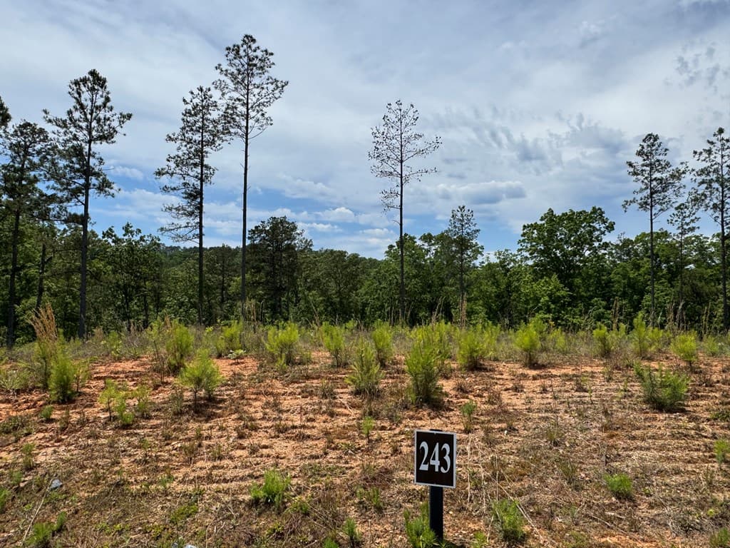 Lot 243 Spear Point Dr, Talking Rock GA 30175 - Photo