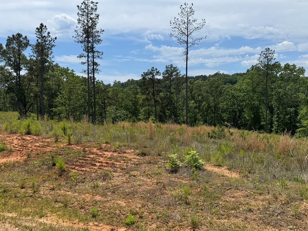 Lot 243 Spear Point Dr, Talking Rock GA 30175 - Photo