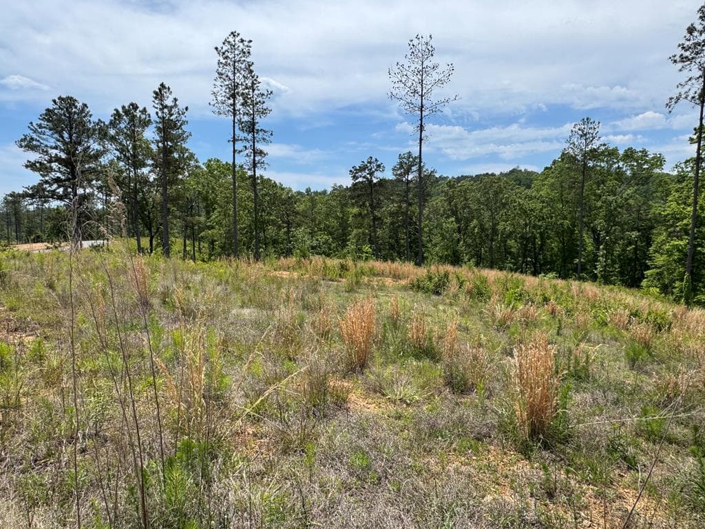 Lot 243 Spear Point Dr, Talking Rock GA 30175 - Primary photo