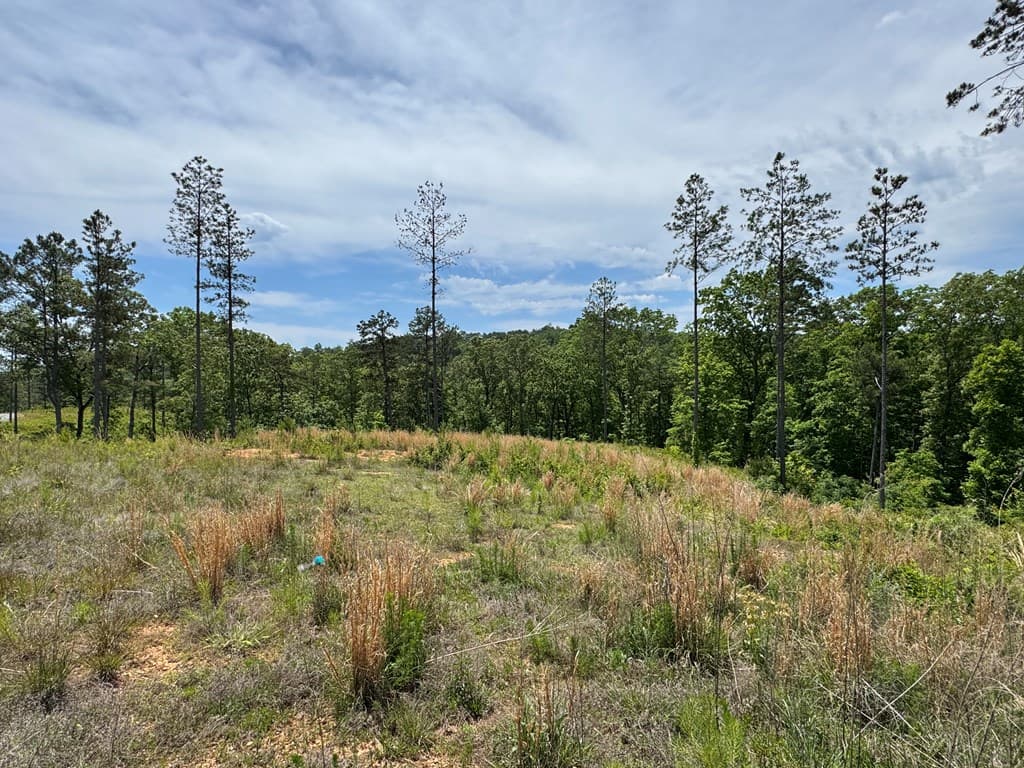 Lot 243 Spear Point Dr, Talking Rock GA 30175 - Photo