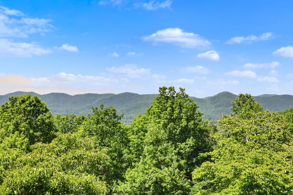 1157 Summit Way, Blairsville GA 30512 - Photo