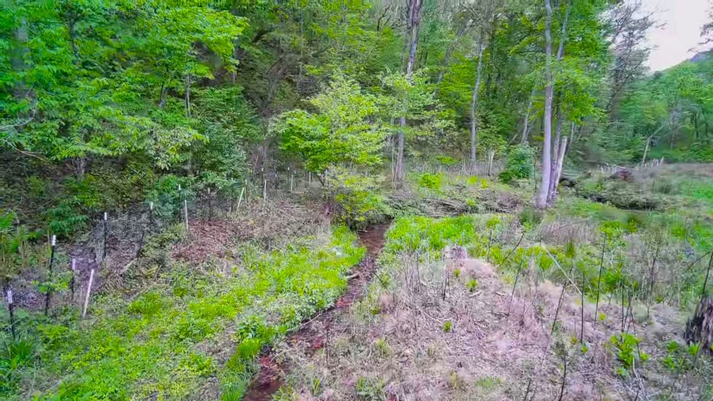 3325 Pack Mountain Road, Murphy NC 28906 - Photo
