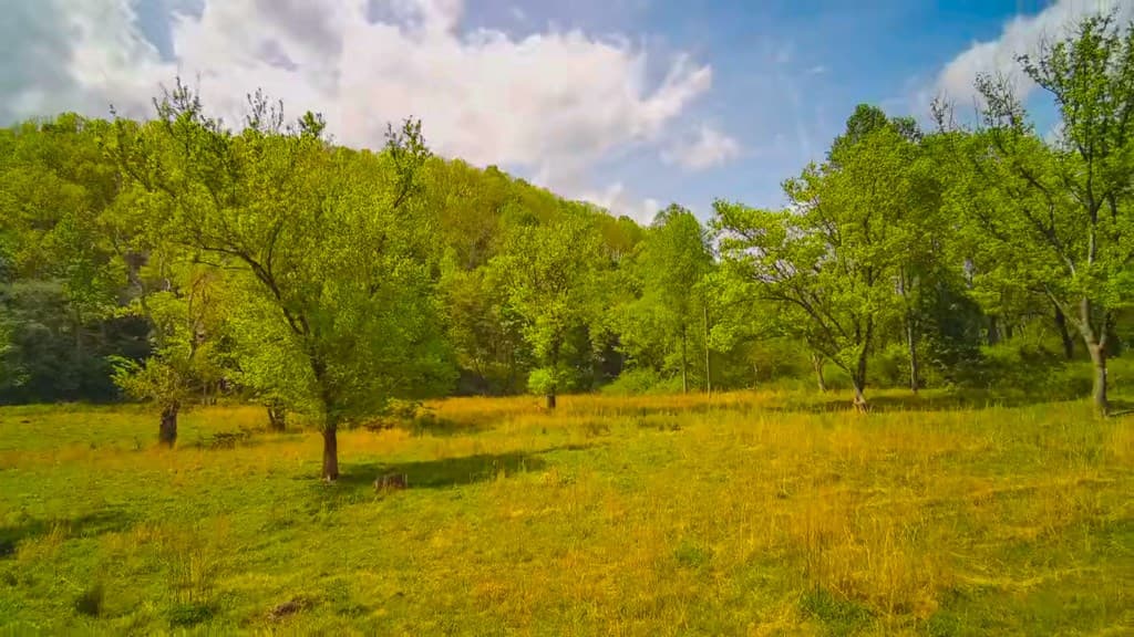 3325 Pack Mountain Road, Murphy NC 28906 - Photo
