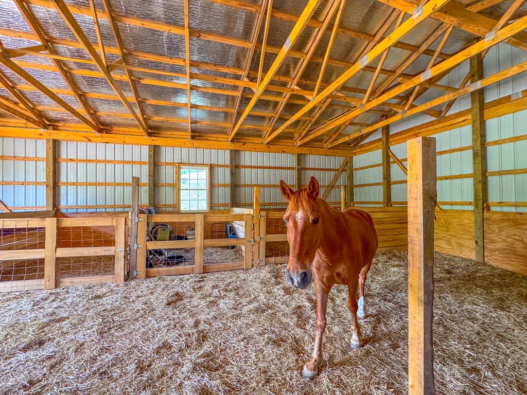 3325 Pack Mountain Road, Murphy NC 28906 - Photo
