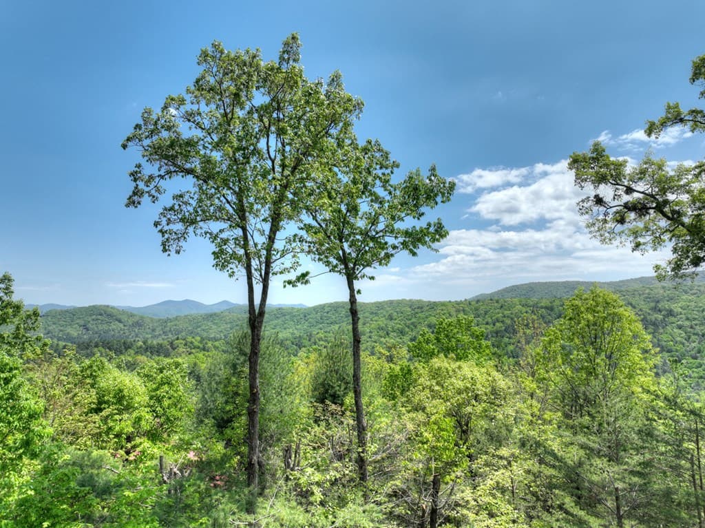 46 Cochise Road, Blue Ridge GA 30513 - Photo