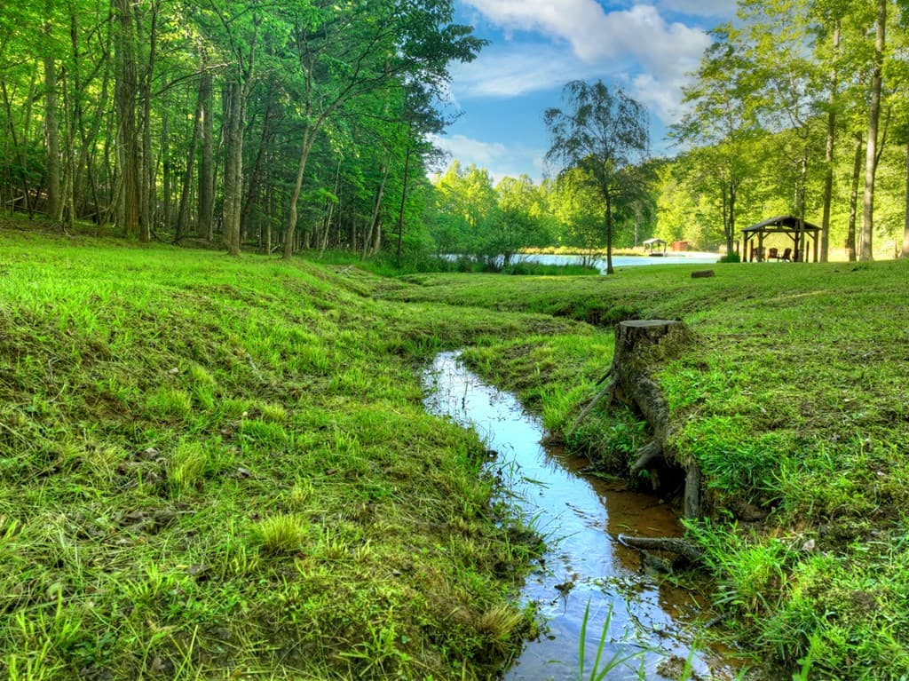 11 Mattie Mitchell Road, Morganton GA 30560 - Photo