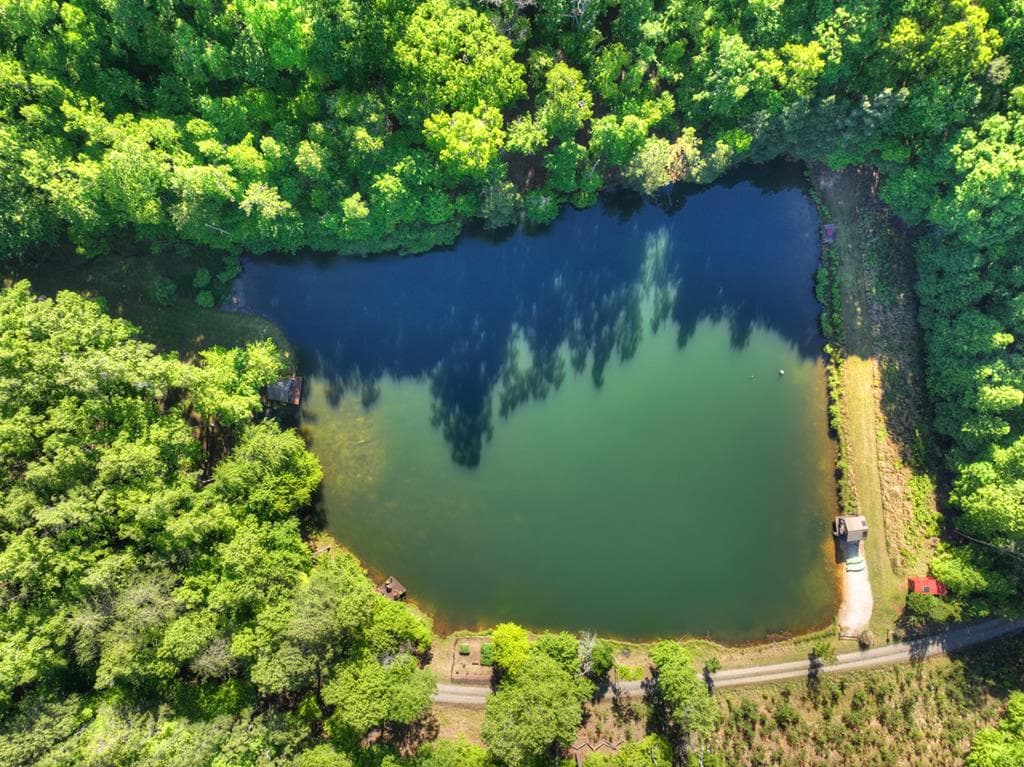 11 Mattie Mitchell Road, Morganton GA 30560 - Photo