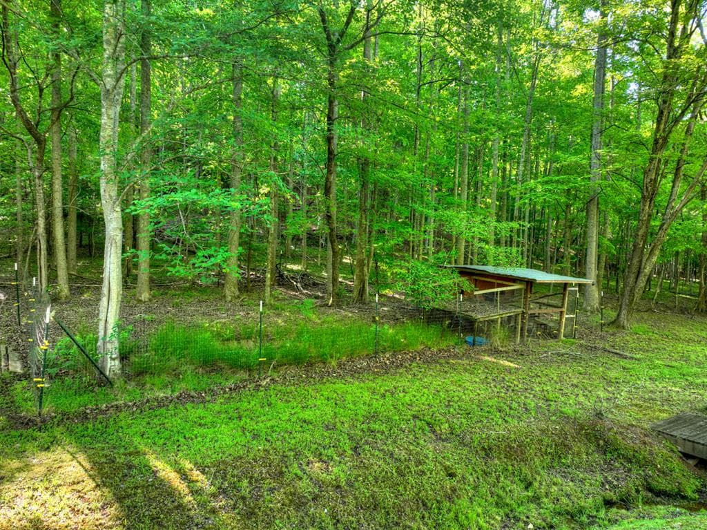 11 Mattie Mitchell Road, Morganton GA 30560 - Photo
