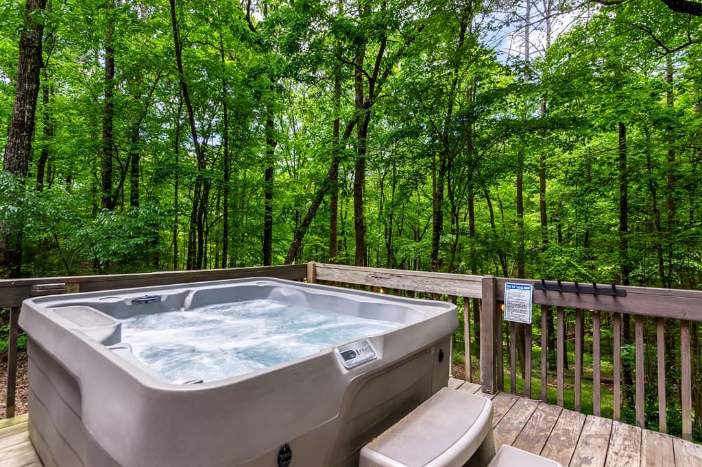 317 North Pine Road, Ellijay GA 30536 - Photo