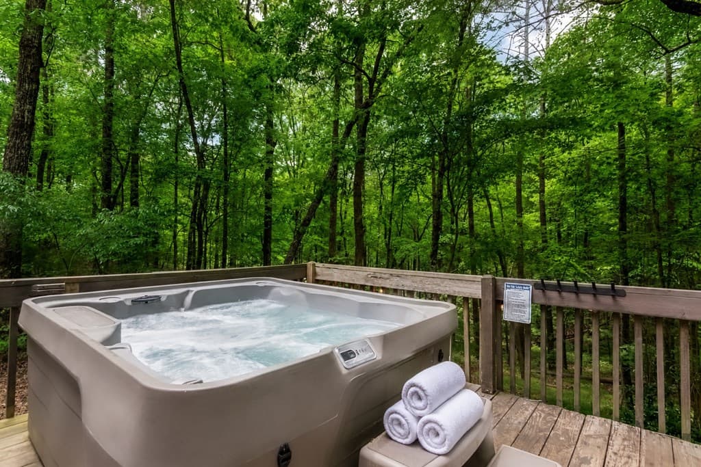 317 North Pine Road, Ellijay GA 30536 - Photo