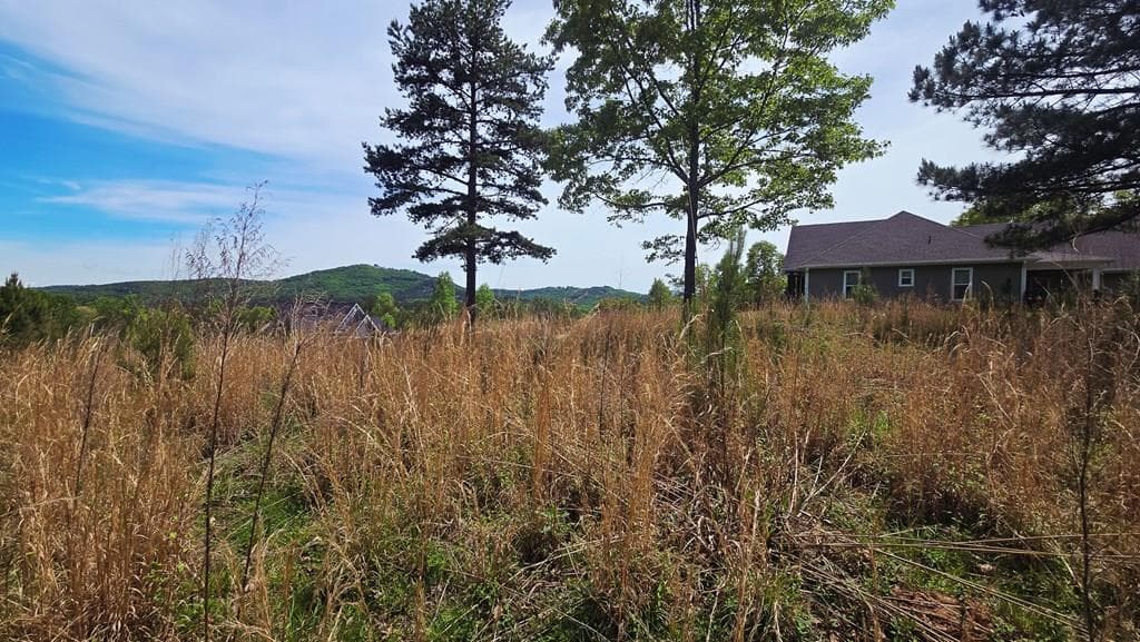 Lot 48 Water Oak Lane, Blairsville GA 30512 - Photo