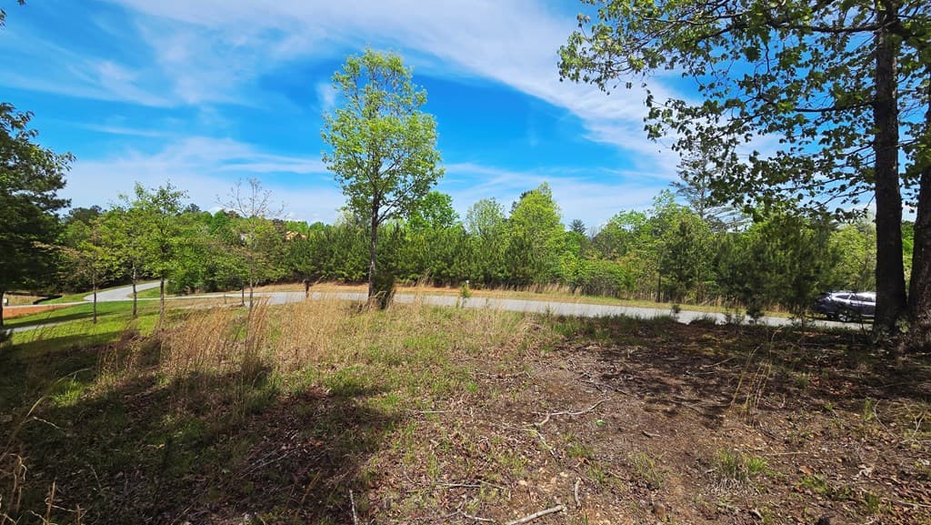 Lot 48 Water Oak Lane, Blairsville GA 30512 - Photo