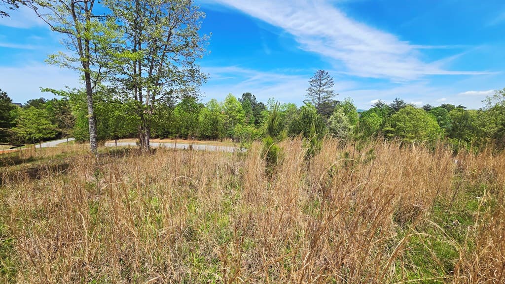 Lot 48 Water Oak Lane, Blairsville GA 30512 - Photo