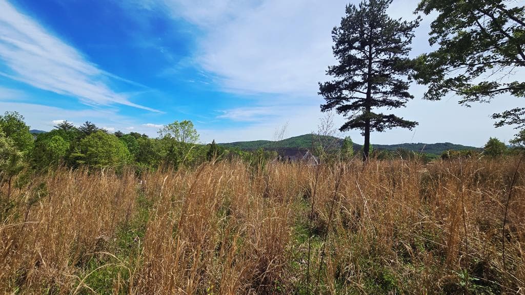 Lot 48 Water Oak Lane, Blairsville GA 30512 - Primary photo