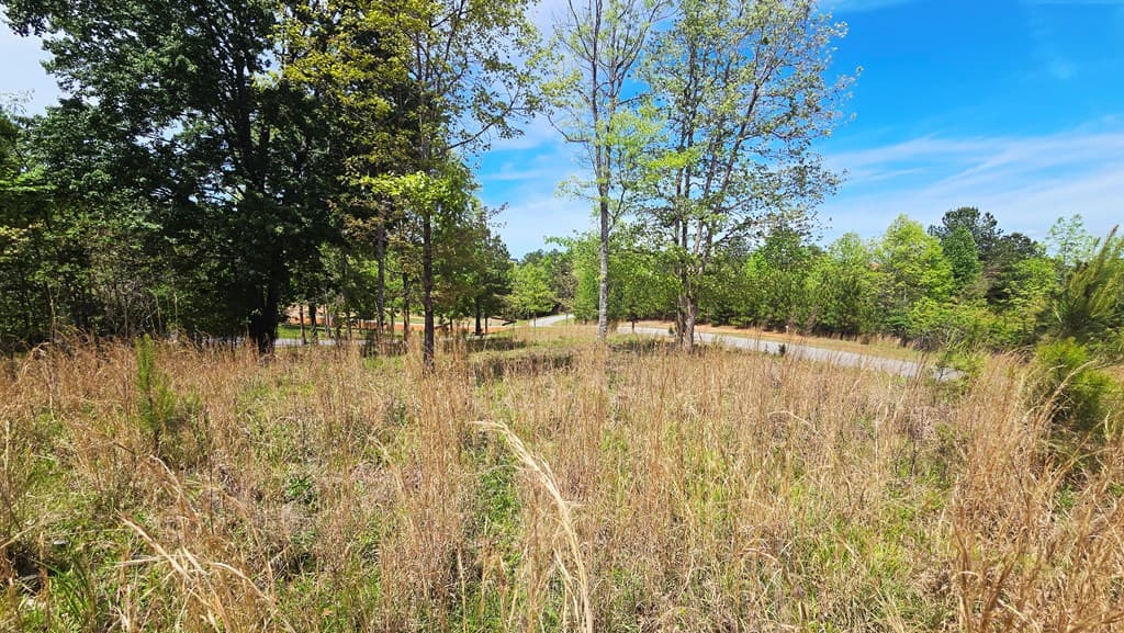 Lot 48 Water Oak Lane, Blairsville GA 30512 - Photo