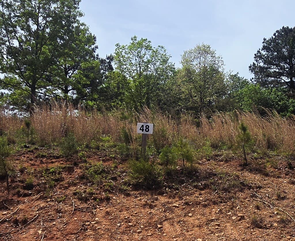 Lot 48 Water Oak Lane, Blairsville GA 30512 - Photo
