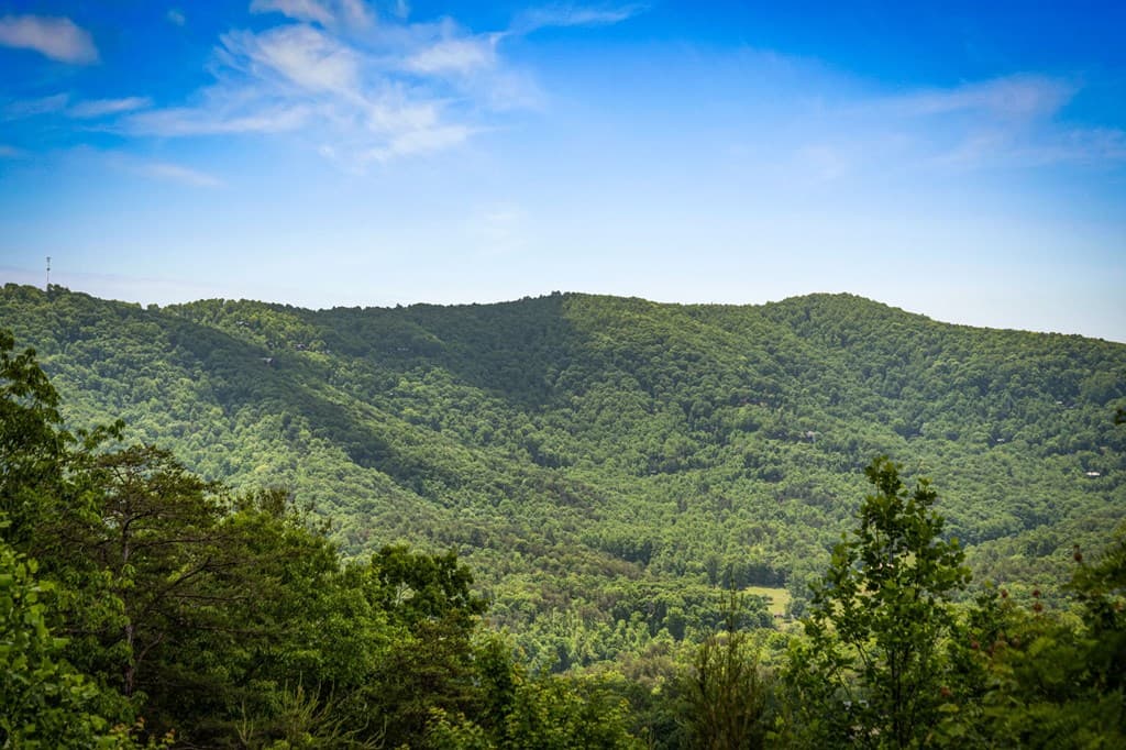 58 Overlook Way, Blue Ridge GA 30513 - Photo