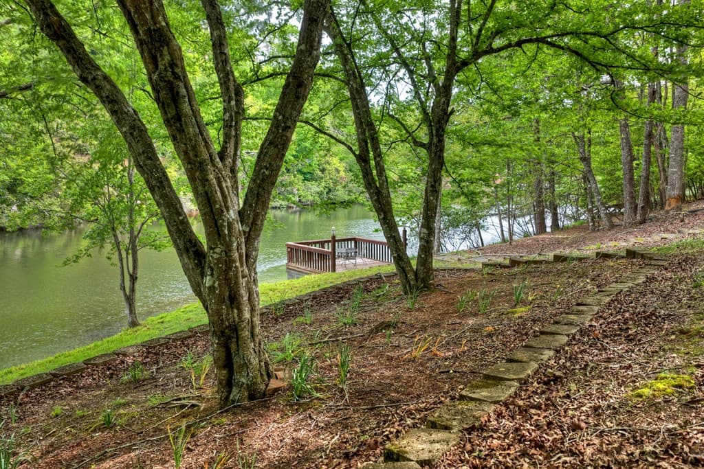 354 Kaely Drive, Mineral Bluff GA 30559 - Photo