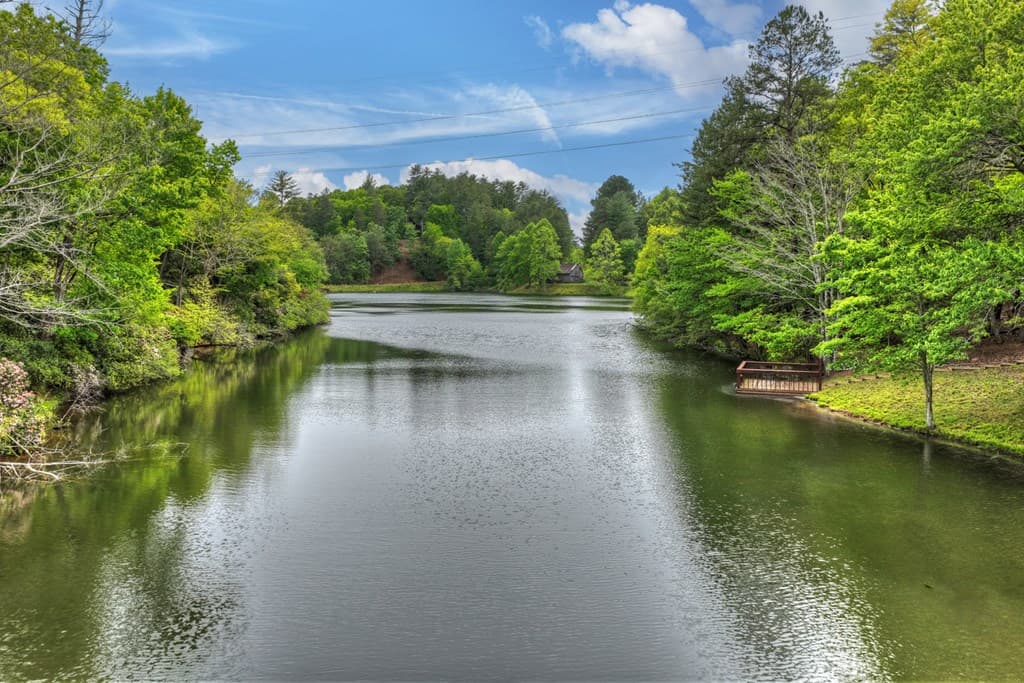 354 Kaely Drive, Mineral Bluff GA 30559 - Photo