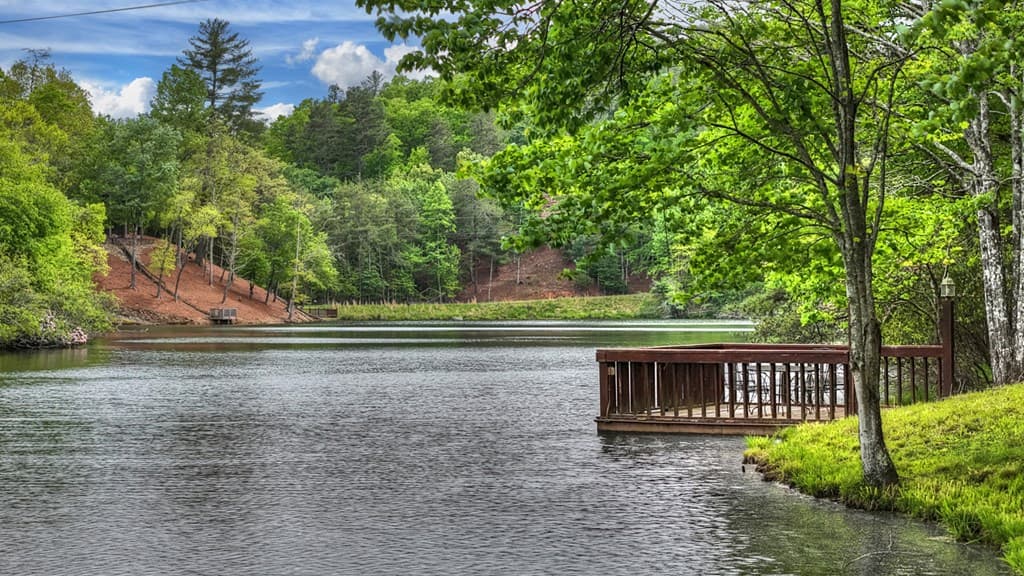 354 Kaely Drive, Mineral Bluff GA 30559 - Photo
