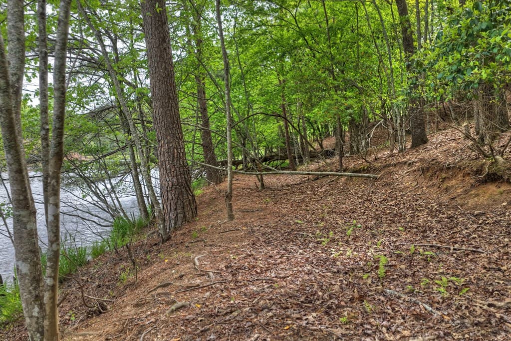 354 Kaely Drive, Mineral Bluff GA 30559 - Photo