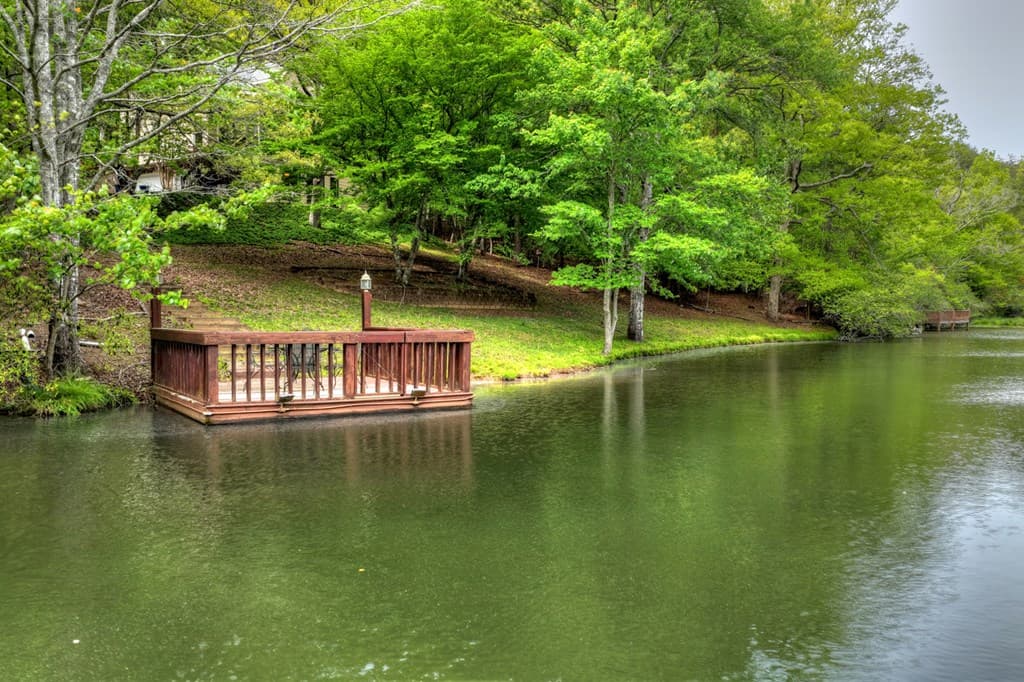 354 Kaely Drive, Mineral Bluff GA 30559 - Photo
