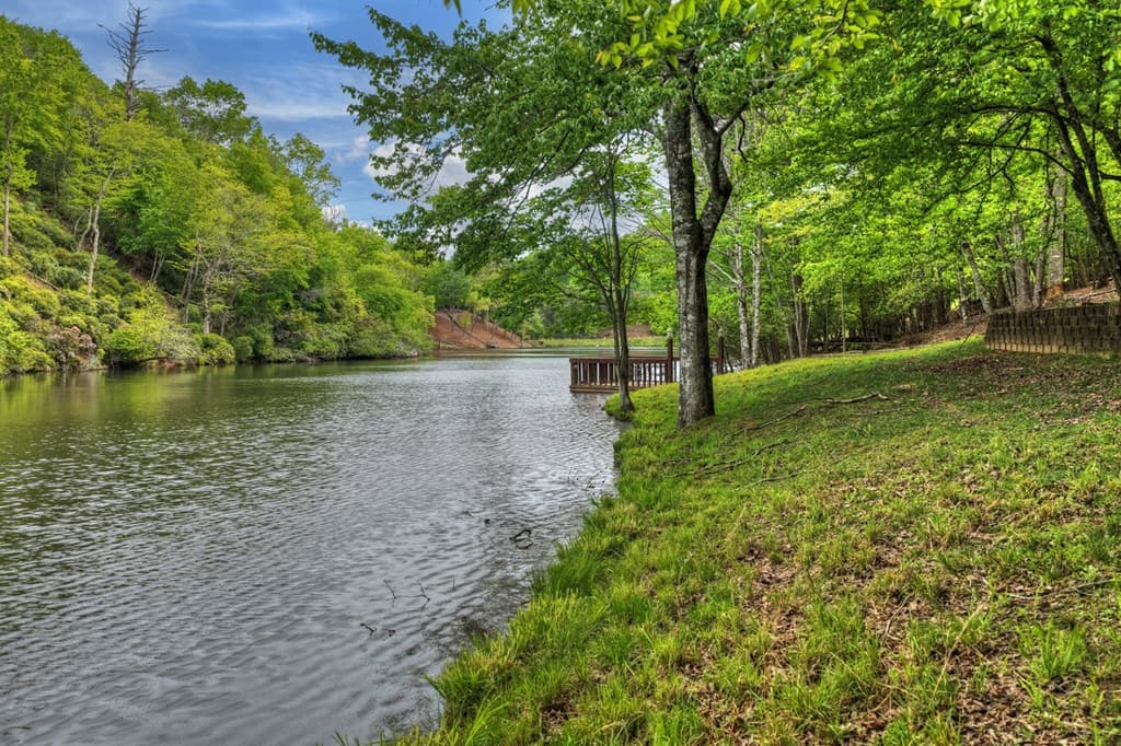 354 Kaely Drive, Mineral Bluff GA 30559 - Photo