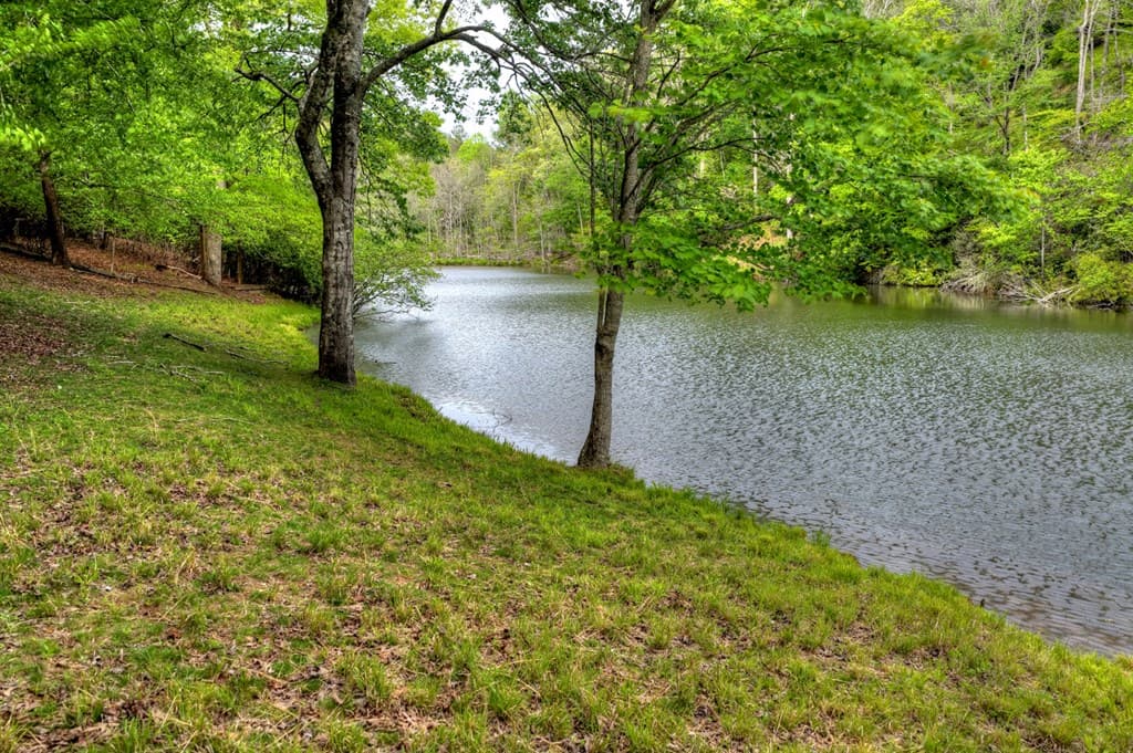 354 Kaely Drive, Mineral Bluff GA 30559 - Photo