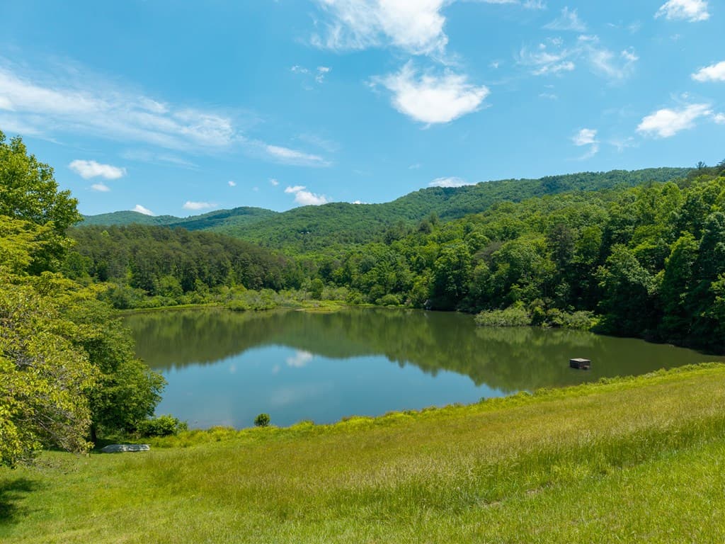 9121 Roy Road, Ellijay GA 30536 - Photo