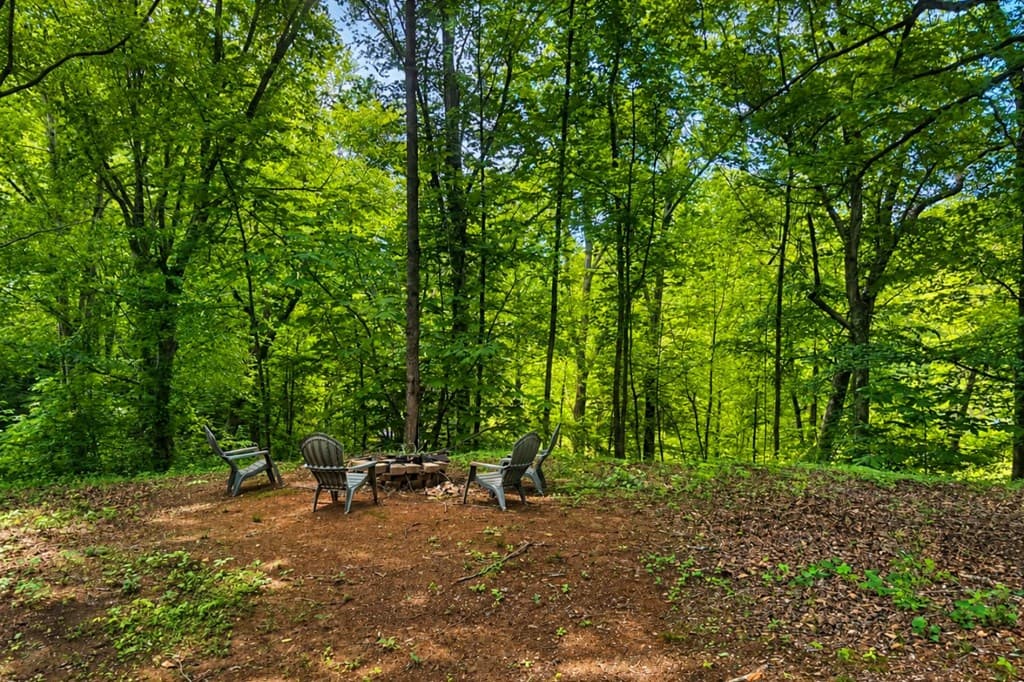 2087 Chatsworth Hwy, Ellijay GA 30540 - Photo