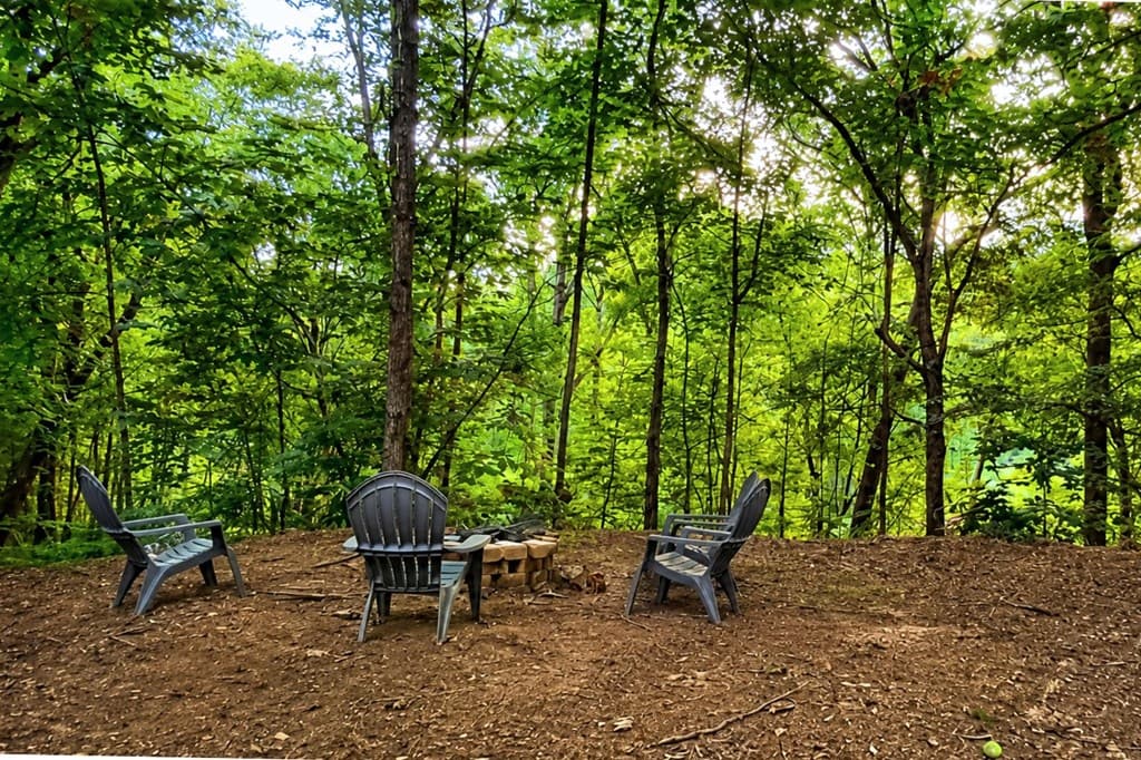2087 Chatsworth Hwy, Ellijay GA 30540 - Photo