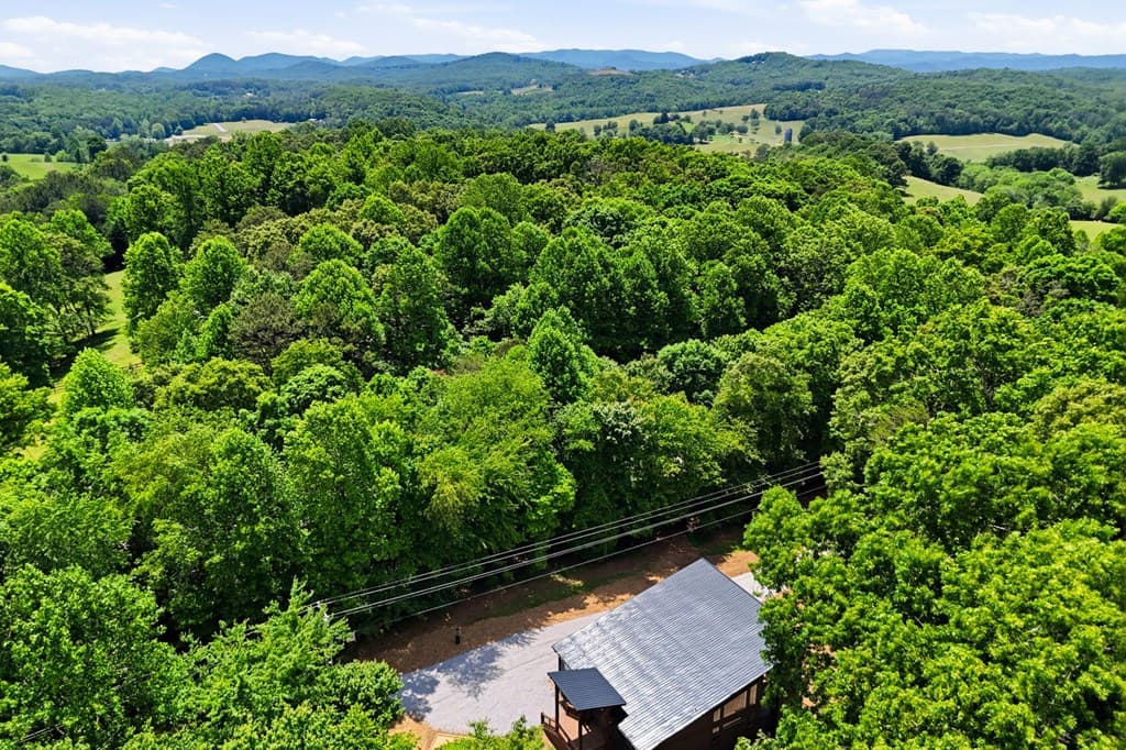 20 Amherst Trail, Blue Ridge GA 30513 - Photo