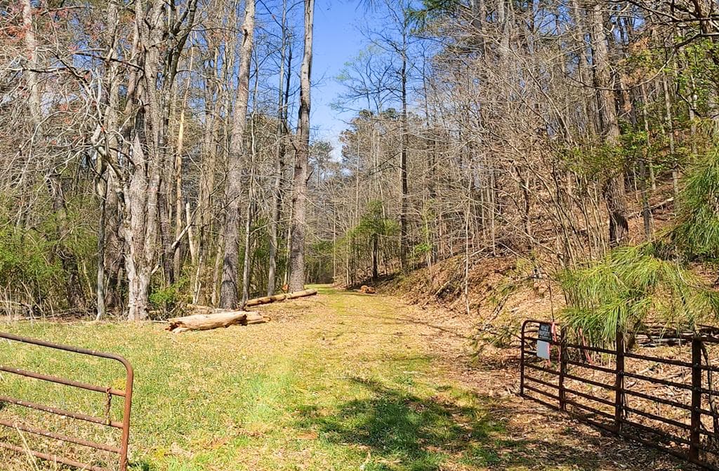 54 AC Legion Road, Ellijay GA 30540 - Photo
