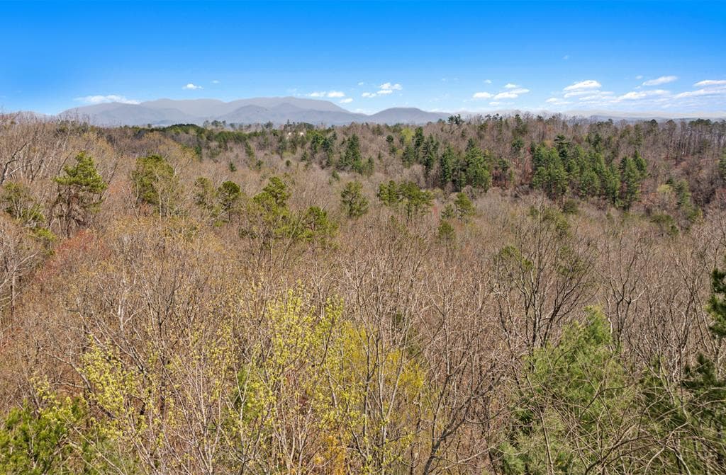 54 AC Legion Road, Ellijay GA 30540 - Photo