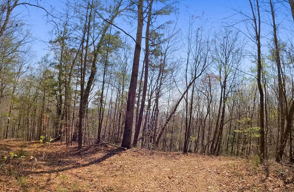 54 AC Legion Road, Ellijay GA 30540 - Photo