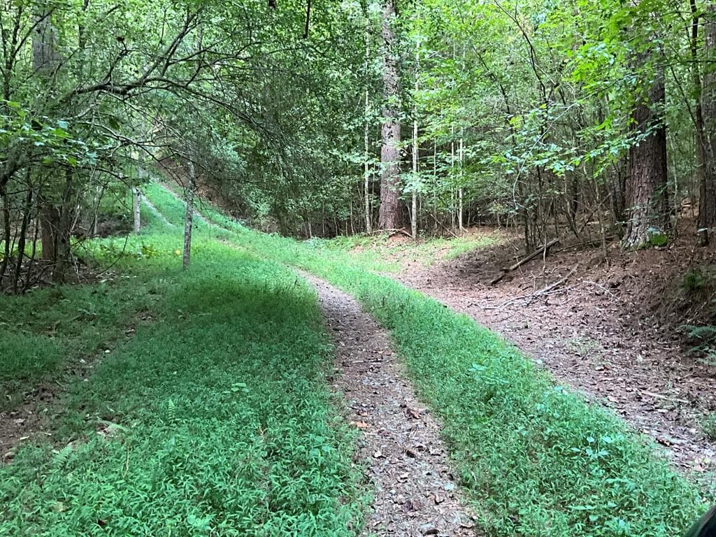 54 AC Legion Road, Ellijay GA 30540 - Photo