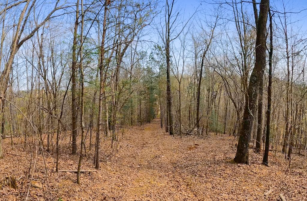 54 AC Legion Road, Ellijay GA 30540 - Photo