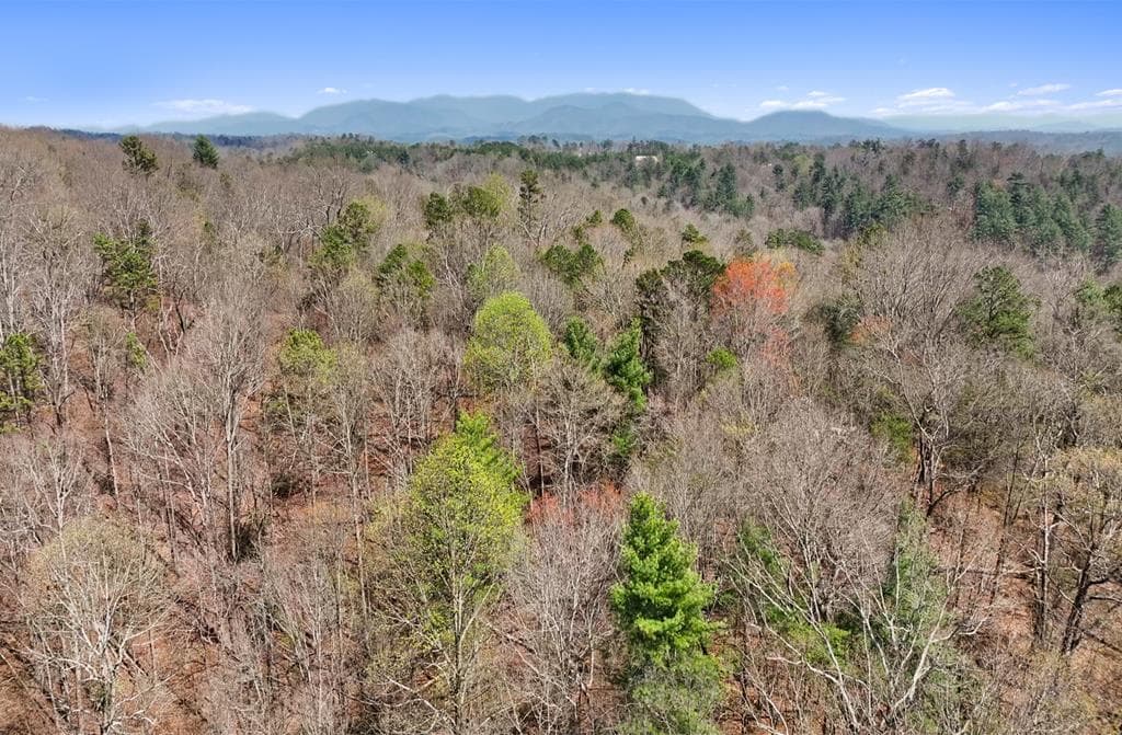 54 AC Legion Road, Ellijay GA 30540 - Photo