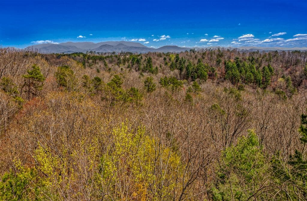54 AC Legion Road, Ellijay GA 30540 - Photo