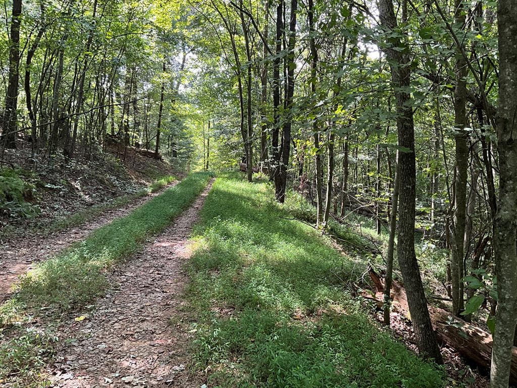 54 AC Legion Road, Ellijay GA 30540 - Photo