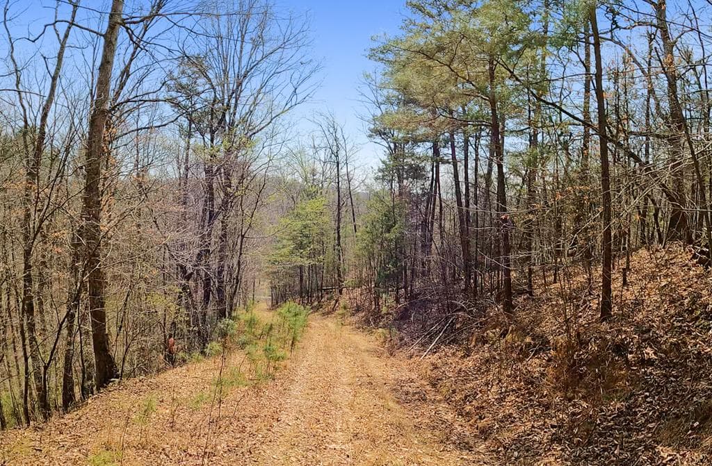 54 AC Legion Road, Ellijay GA 30540 - Photo