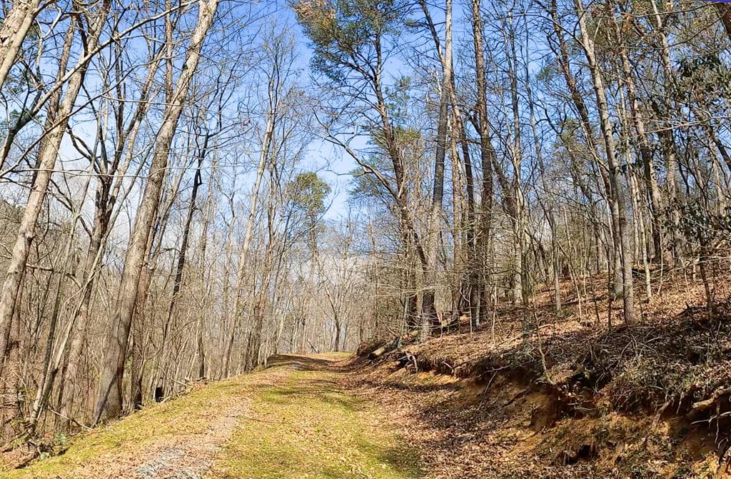 54 AC Legion Road, Ellijay GA 30540 - Photo