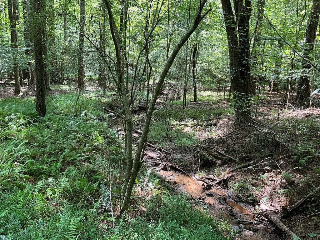 54 AC Legion Road, Ellijay GA 30540 - Photo