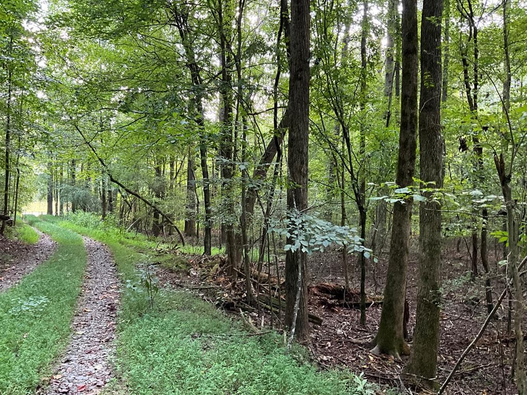 54 AC Legion Road, Ellijay GA 30540 - Photo