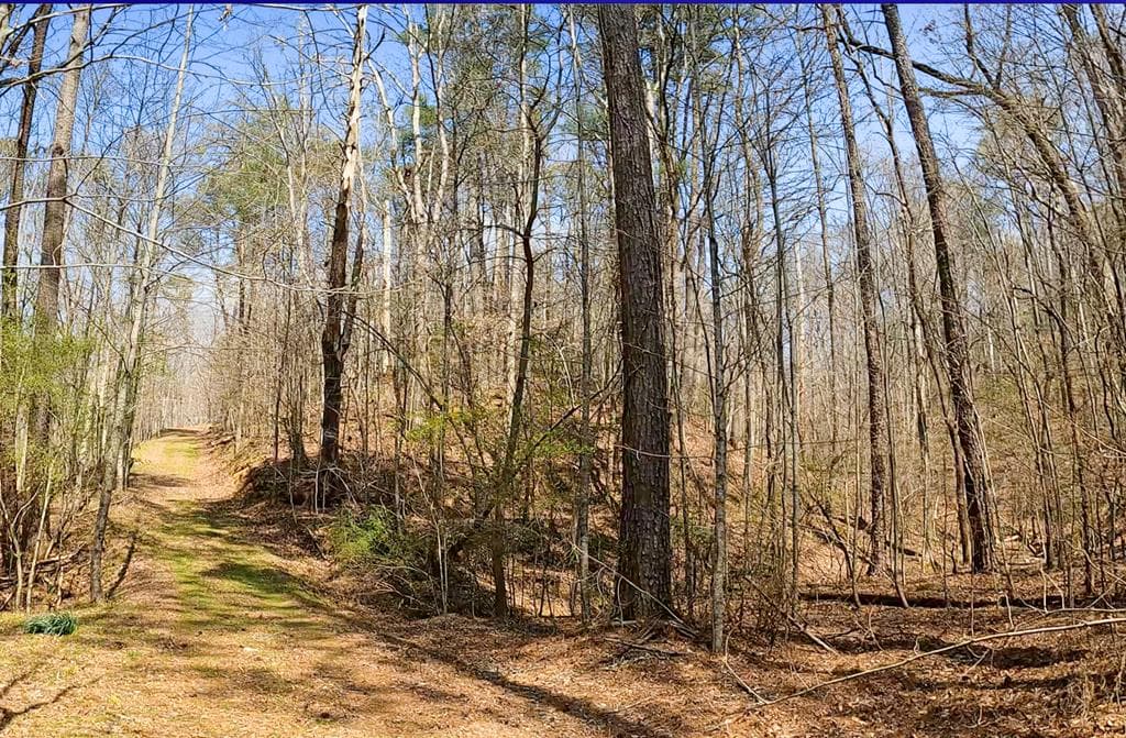 54 AC Legion Road, Ellijay GA 30540 - Photo