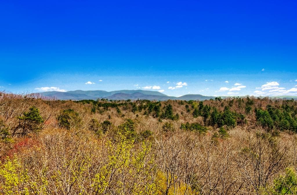 54 AC Legion Road, Ellijay GA 30540 - Photo